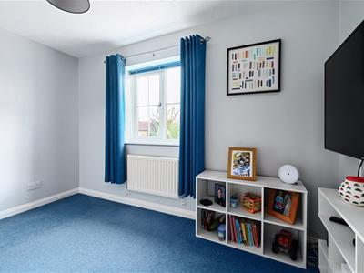 Picture 15